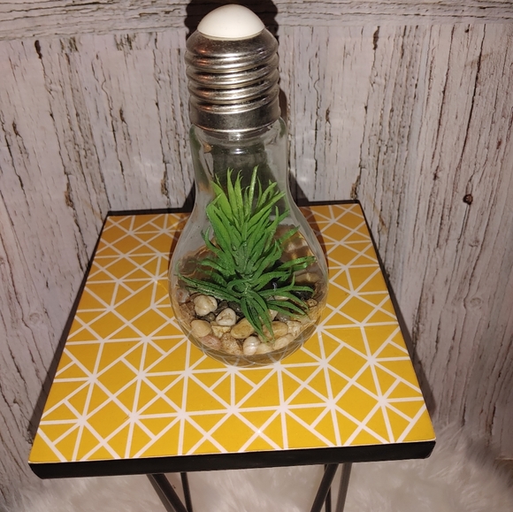 Homedeco Light Up Terrarium - Picture 2 of 5